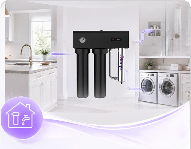 GX-WP-S20T installed for whole-home point-of-entry treatment